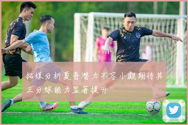 拓媒分析夏普潜力不容小觑期待其三分球能力显著提升