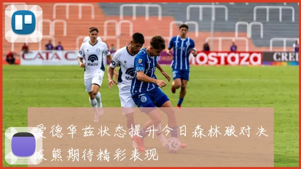 爱德华兹状态提升今日森林狼对决灰熊期待精彩表现