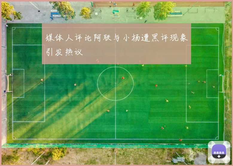 媒体人评论阿联与小杨遭黑评现象引发热议