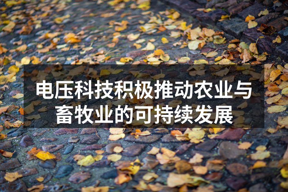 电压科技积极推动农业与畜牧业的可持续发展